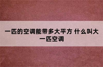 一匹的空调能带多大平方 什么叫大一匹空调